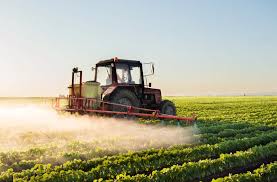 Profitable Crop Farming Training and Field Festival
